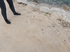 Odocoileus hemionus californicus