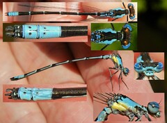 Chromagrion conditum