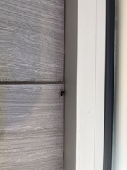 Castianeira descripta