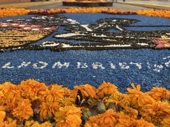 Catasticta teutila teutila