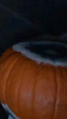 Penicillium chrysogenum