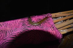 Scolopendridae