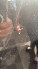 Hellinsia homodactylus