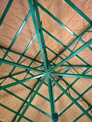 Craspedocephalus gramineus