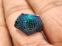 Sternocera chrysis