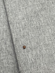 Exochomus marginipennis