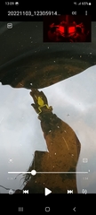 Dendropsophus molitor