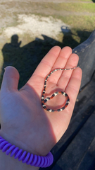 Lampropeltis elapsoides