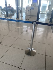 Passer montanus malaccensis