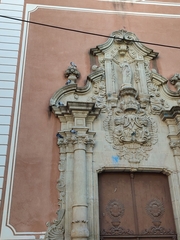 Columba livia domestica