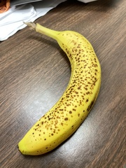 Mucor circinelloides