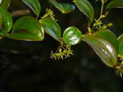 © Jacy Chen, some rights reserved (CC-BY)