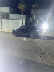 Clogmia albipunctata