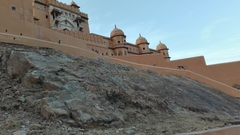 Semnopithecus entellus