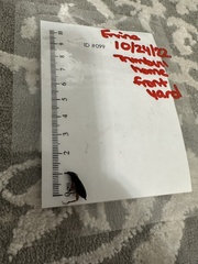 Stephanopachys substriatus