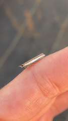 Crambus quinquareatus
