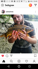 Cyprinus carpio carpio