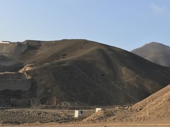 Haageocereus acranthus