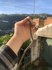 Hemorrhois hippocrepis