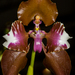 Cyrtochilum halteratum - Photo (c) Kilitz Photography, algunos derechos reservados (CC BY)