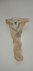 Malleus