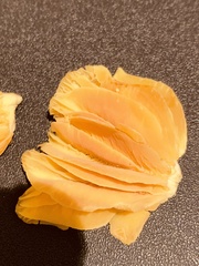 Hygrocybe acutoconica