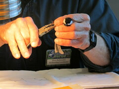 Poecile atricapillus