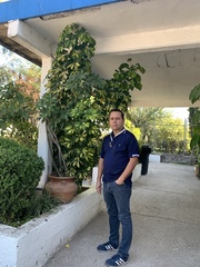 Cnidoscolus aconitifolius