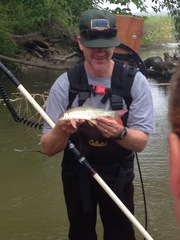 Moxostoma macrolepidotum