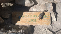 Callospermophilus lateralis bernardinus