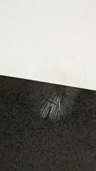 Heimiomyces fulvipes