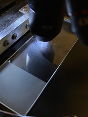 Albatrellus avellaneus