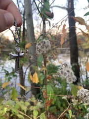 Eupatorieae