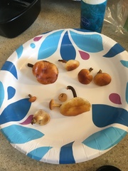 Flammulina velutipes