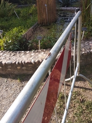 Sympetrum striolatum