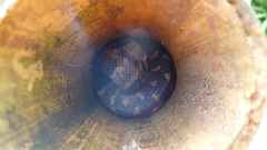 Chilabothrus striatus