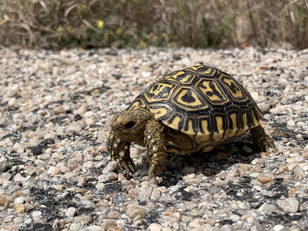 Photo by Collette Hurt