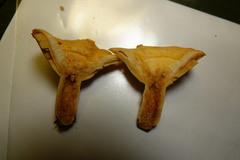 Lactarius subplinthogalus