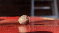 Thryothorus ludovicianus