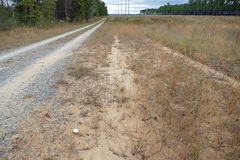 Xanthoconium stramineum