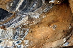 Gynacantha nourlangie