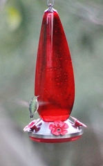 Selasphorus calliope