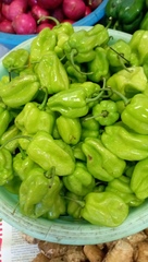 Capsicum chinense