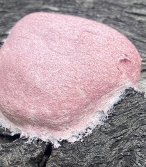 Fuligo septica rosea