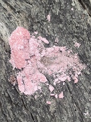 Fuligo septica rosea