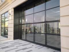 Zonotrichia albicollis