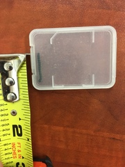 Asiomorpha coarctata