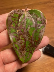 Marmara smilacisella