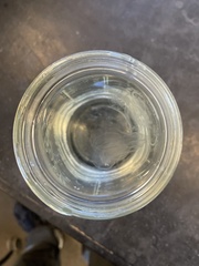 Bolinopsis microptera