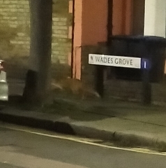 Vulpes vulpes crucigera